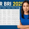 KUR BRI 2025 Pinjaman Hingga Rp80 Juta, Mana Tenor yang Paling Cocok?