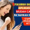 4 Daftar Aplikasi Pinjaman Online yang Bisa Cair Langsung ke DANA