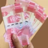 Isu Kenaikan Gaji PNS di Awal Bulan Agustus 2025, ini Rinciannya
