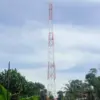 Menara BTS di Dusun Lebakbitung, Desa Mekarbakti, Kecamatan Pamulihan, Kabupaten Sumedang telah berdiri tegak