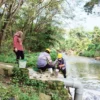 Tim DLH saat ambil sampel air sungai