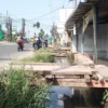 Jembatan darutat dari kayu hasil swadaya warga yang kondisinya kian rapuh, sebab mangkraknya proyek normalisasi drainase DPUTR Kabupaten Bandung di Jalan Raya Rancaekek-Majalaya, wilayah Kampung Rancabatok, RW09 dan RW22, Desa Rancaekekwetan, Kecamatan Rancaekek. (Yanuar/Jabar Ekspres)