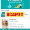 Fakta Sebenarnya Aplikasi Rajawings itu Penipuan Investasi Berkedok Penghasil Uang