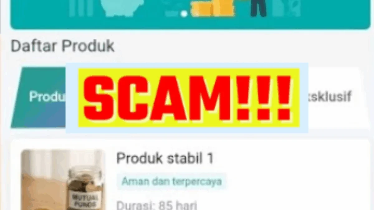 Fakta Sebenarnya Aplikasi Rajawings itu Penipuan Investasi Berkedok Penghasil Uang