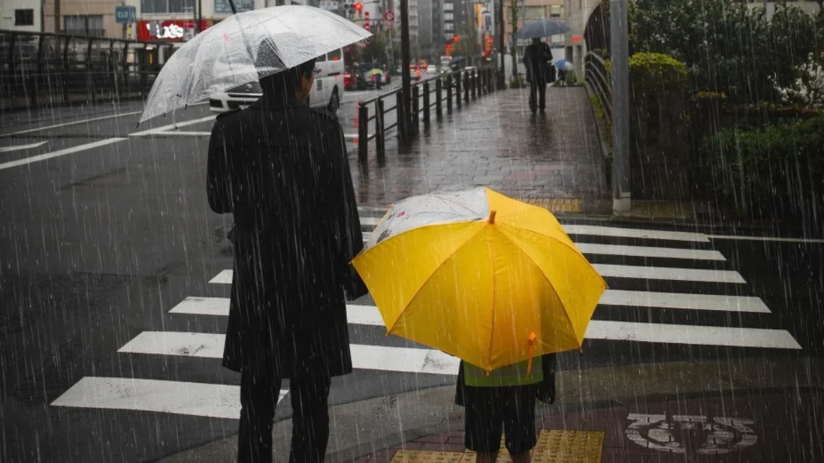BMKG Peringatkan Potensi Cuaca Ekstrem dan Gelombang Tinggi
