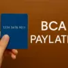 Cara Daftar Paylater BCA 2025, Bisa Nyicil dengan Bunga 0% dan Limit Puluhan Juta