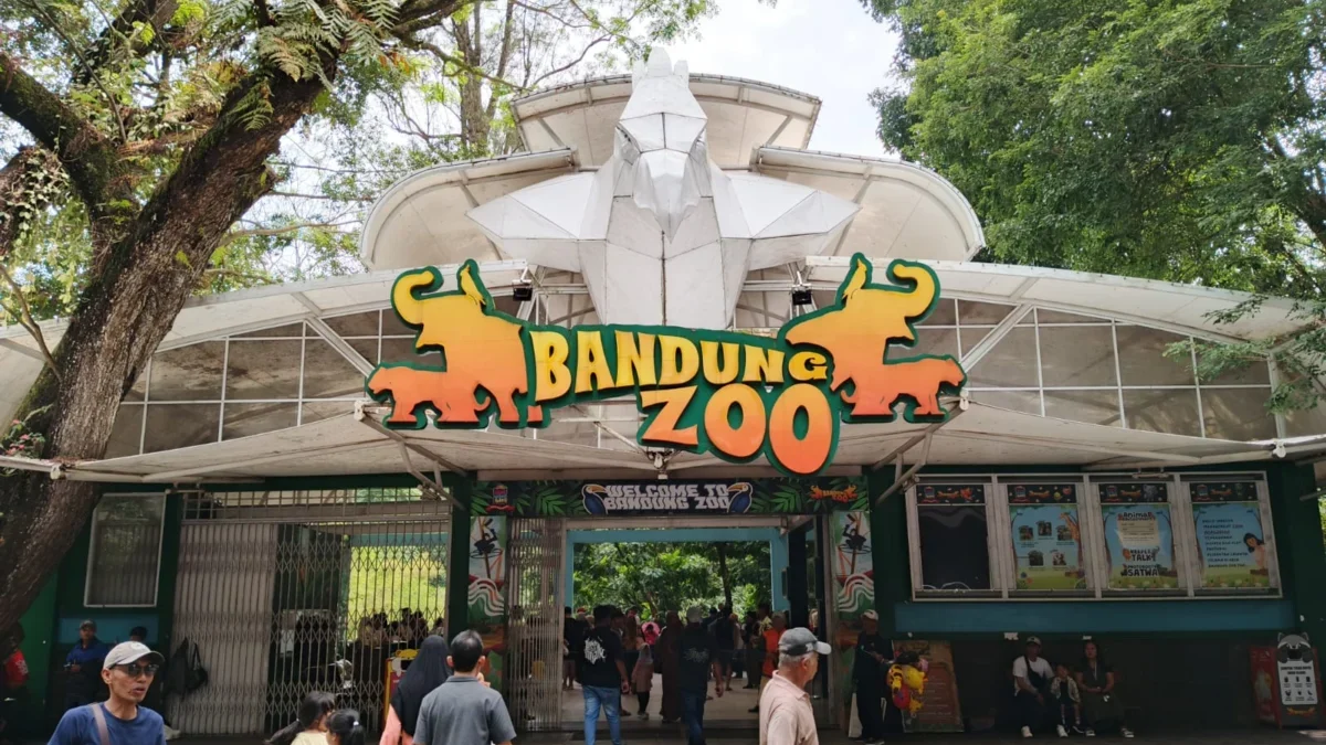 Ilustrasi Bandung Zoo : setelah kembali dibuka, Bandung Zoo diserbu para wisatawan yang datang ke Kota Bandung, Minggu (6/7). (Sadam Husen / JE)