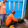 Rumah di Cibabat Rusak Akibat Tanah Bergerak, BPBD Tegaskan Masuk Golongan Longsor