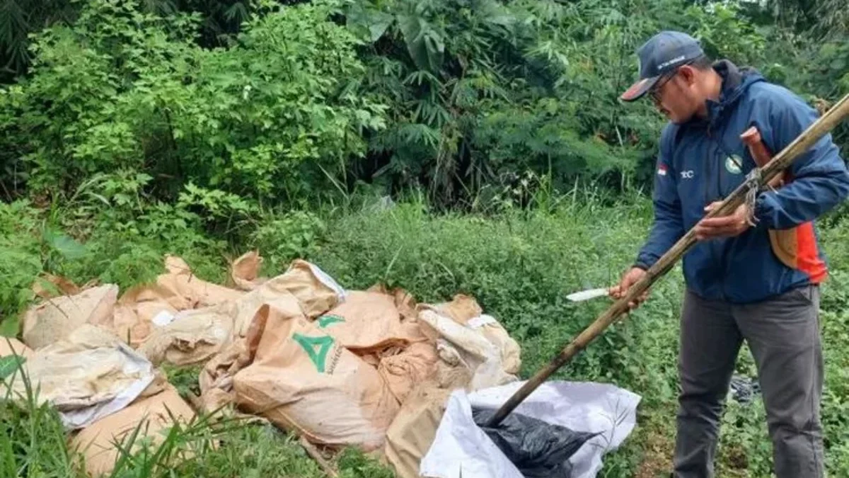Ratusan Bangkai Ayam Berserakan di Lembang, Bau Busuk Ganggu Warga dan Wisatawan Ratusan Bangkai Ayam Berserakan di Lembang, Bau Busuk Ganggu Warga dan Wisatawan