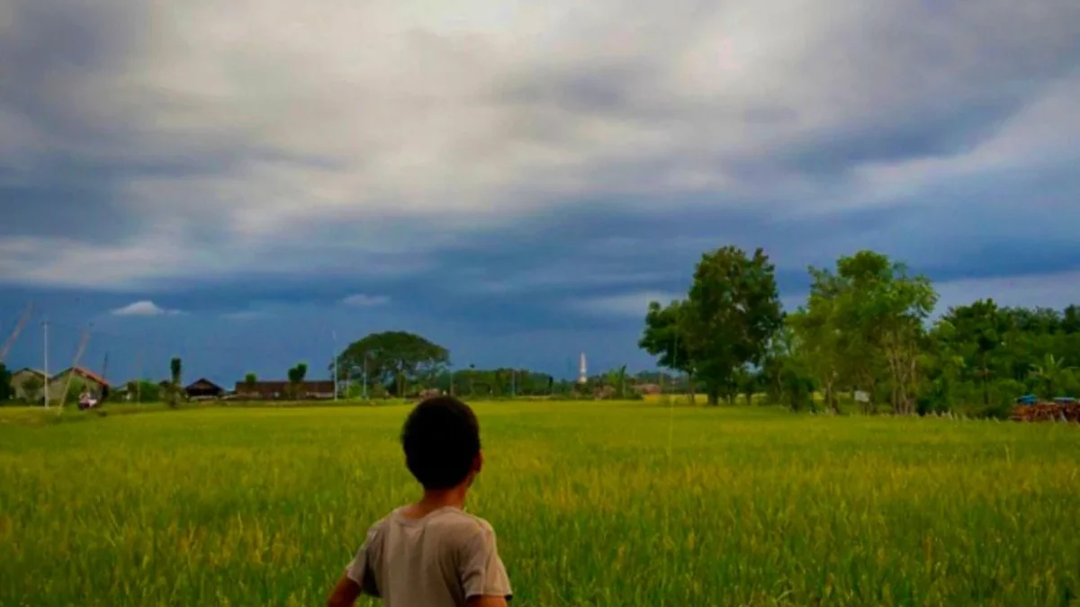 Ratusan Perjalanan Kereta Cepat Terganggu Akibat Teror Layang-layang di Jalur Whoosh