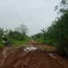 Pembangunan Jalan Lingkar Padalarang–Cipatat Terhambat, Ternyata Ini Masalahnya! 