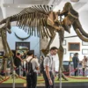 Minggu Terakhir Libur Sekolah, Museum Geologi Bandung Dipadati Ribuan Pengunjung Setiap Hari! 