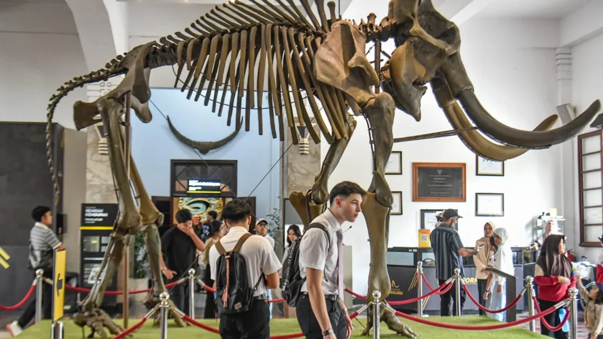 Minggu Terakhir Libur Sekolah, Museum Geologi Bandung Dipadati Ribuan Pengunjung Setiap Hari! Minggu Terakhir Libur Sekolah, Museum Geologi Bandung Dipadati Ribuan Pengunjung Setiap Hari!