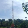 Bangun Menara BTS Tak Boleh Sembarangan, Jarak Aman hingga Dampak Ekologis Harus Dikaji!