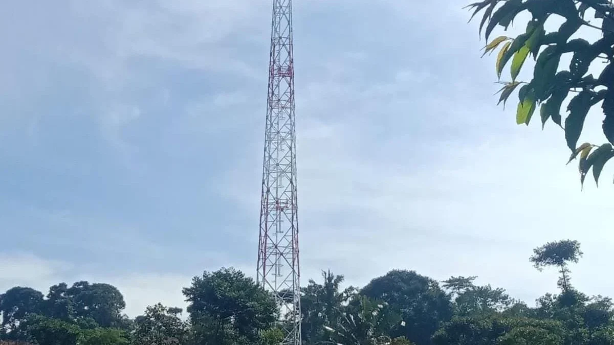 Bangun Menara BTS Tak Boleh Sembarangan, Jarak Aman hingga Dampak Ekologis Harus Dikaji!