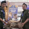 Wakil Kelompok Sadar Wisata (Pokdarwis) Desa Belawa, Dadan H (kanan)menunjukkan salah satu kura-kura asal Desa Belawa di TSM Bandung. Kura - kura itu diawetkan karena mati. (son)