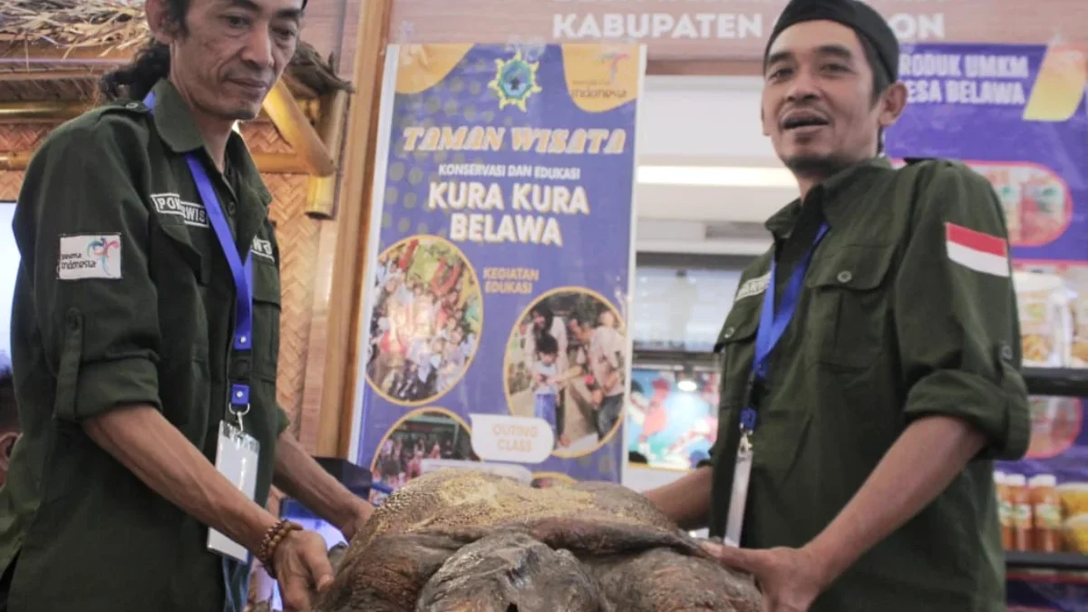 Wakil Kelompok Sadar Wisata (Pokdarwis) Desa Belawa, Dadan H (kanan)menunjukkan salah satu kura-kura asal Desa Belawa di TSM Bandung. Kura - kura itu diawetkan karena mati. (son)