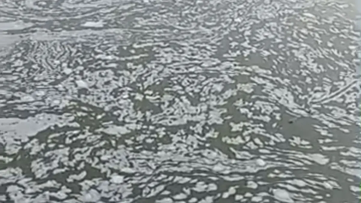 Warga Rancabungur Keluhkan Buih Putih di Aliran Sungai Cisadane : Sudah Lima Tahun, Pemerintah Masih Acuh! 