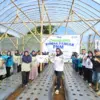 Rumah Pangan PNM Resmi Hadir di Lembang, Dorong Kemandirian Pangan Ibu Prasejahtera