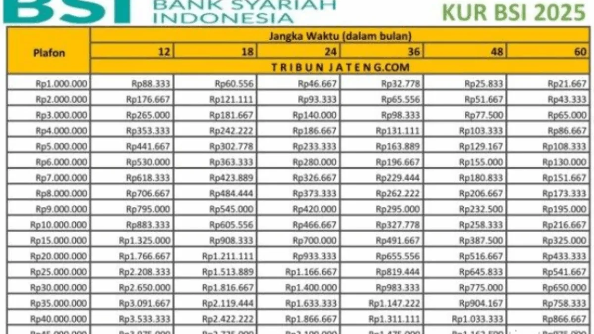 Cek Tabel Angsuran KUR BSI 2025 yang Bebas Bunga dan Super Terjangkau Cek Tabel Angsuran KUR BSI 2025 yang Bebas Bunga dan Super Terjangkau