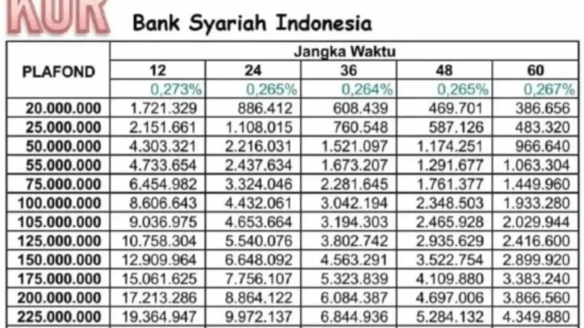 Cicilan KUR BSI Rp 20 Juta Cuma Rp 300 Ribuan, Ini Rinciannya!