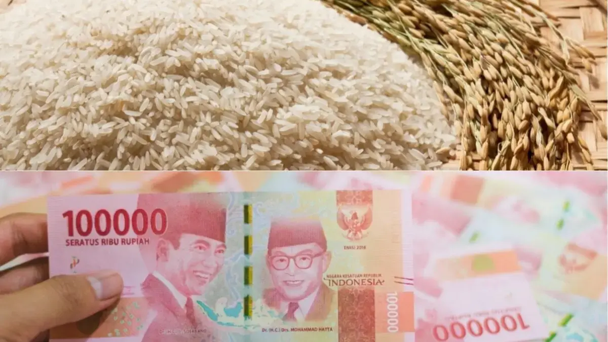 Editing Canva beras dan uang tunai Rupiah.