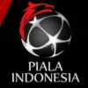 Ketua Umum PSSI Erick Thohir takkan gulirkan Piala Indonesia/Foto: Istimewa/