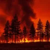 Ribuan Warga Garden Hill Kanada Dievakuasi Akibat Ancaman Kebakaran Hutan