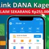 Saldo DANA Gratis Rp255.000 Sore Ini, Cuma Klik Link!
