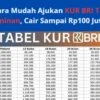 Ini Cara Mudah Ajukan KUR BRI Tanpa Jaminan