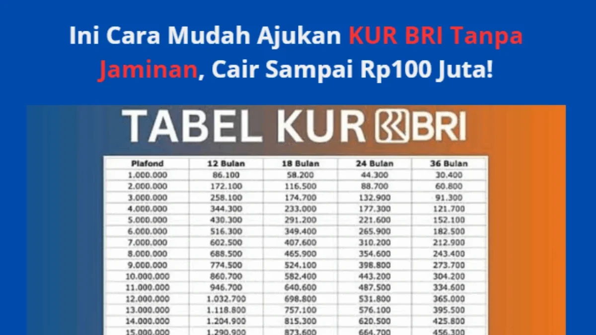 Ini Cara Mudah Ajukan KUR BRI Tanpa Jaminan