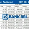 Tabel Angsuran KUR BRI 2025: Pinjam 50 Juta, Cicilan 500 Ribu per Bulan Apa Bisa?