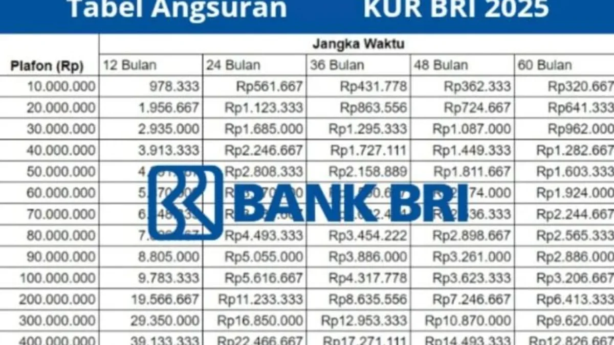 Tabel Angsuran KUR BRI 2025: Pinjam 50 Juta, Cicilan 500 Ribu per Bulan Apa Bisa?