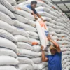 Desak Bulog Serap Tambahan Satu Juta Ton Beras, Ini Alasan Zulhas!