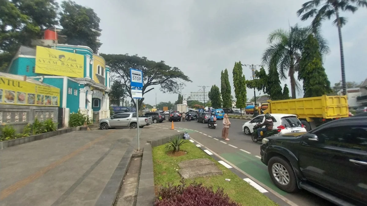 Salah satu penumpang yang menunggu penjemputan Bus Transjabodetabek di Jalan Alternatif Sentul. Foto: Regi