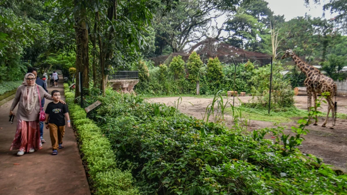 Pengunjung berwisata di Kebun Binatang Bandung, Jalan Tamansari, Kota Bandung, baru-baru ini. Foto: Dimas Rachmatsyah / Jabar Ekspres