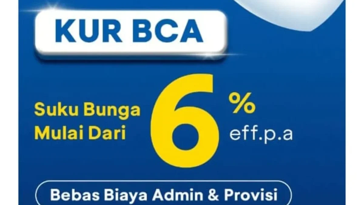 KUR BCA 2025 Pinjaman Rp50 Juta Bisa ACC dengan Cepat, Ini Trik Rahasianya