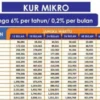 Cek Tabel Angsuran KUR BRI 2025 hingga Rp20 Juta, Cicilan Hanya Mulai dari Rp20 Ribuan Saja