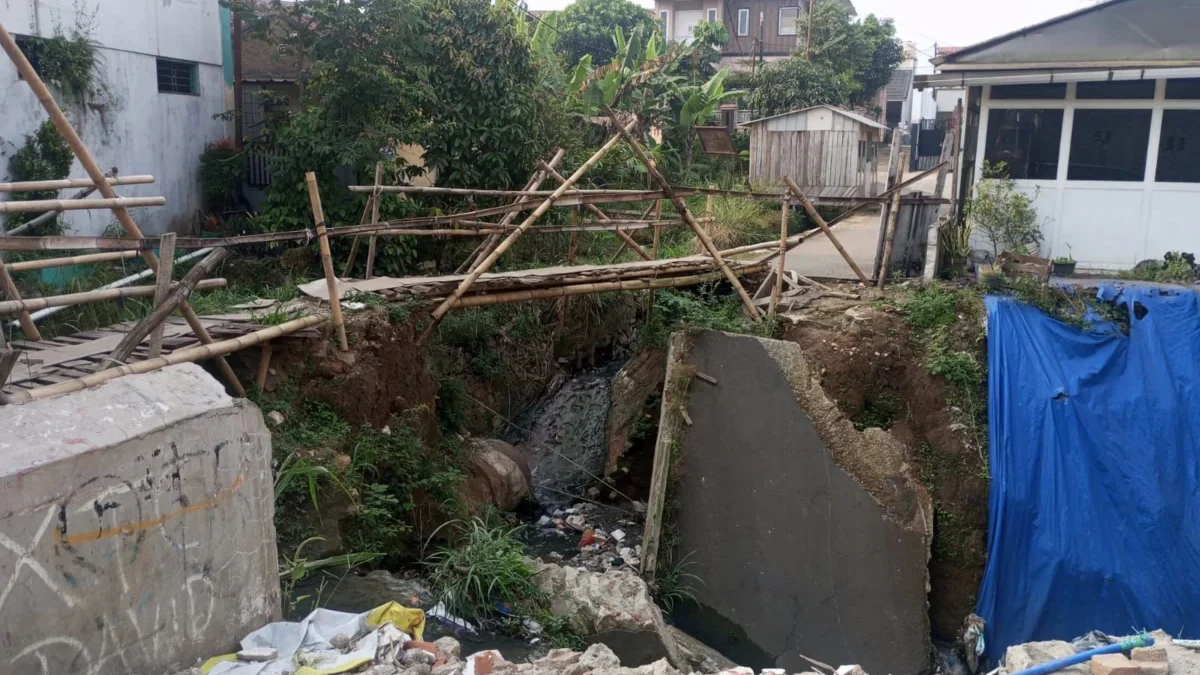 5 Hektare Sawah di Padalarang Gagal Panen Akibat Irigasi Terputus 5 Hektare Sawah di Padalarang Gagal Panen Akibat Irigasi Terputus