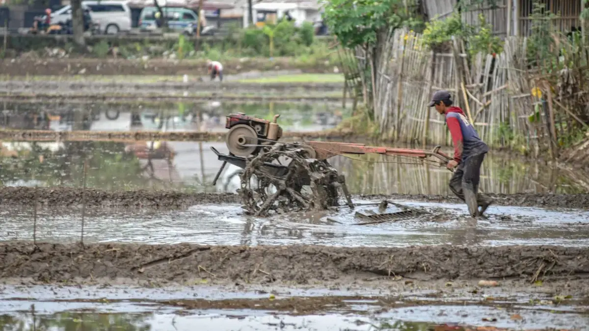 Petani membajak sawah dengan mesin traktor tangan di Jalan Cidurian Utara, Kota Bandung, Rabu (23/7). Foto: Di
