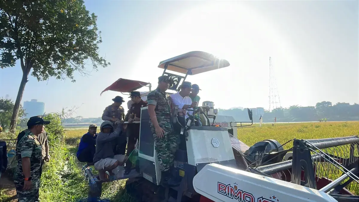 Panen Raya di Dayeuhkolot, Inovasi Pupuk dan Alsintan Dongkrak Produktivitas Petani Kabupaten Bandung