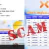Aplikasi XNII Cashback
