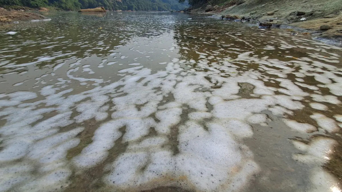 Sungai Cisadane Bogor Dipenuhi Buih Putih, Foto Sandika Jabar Ekspres