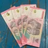 Bantuan Subsidi Upah (BSU) Rp600.000 dari Pemerintah.