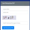 Cara Cek Penerima PIP 2025 dan Status Pencairan Dana Cukup Pakai HP