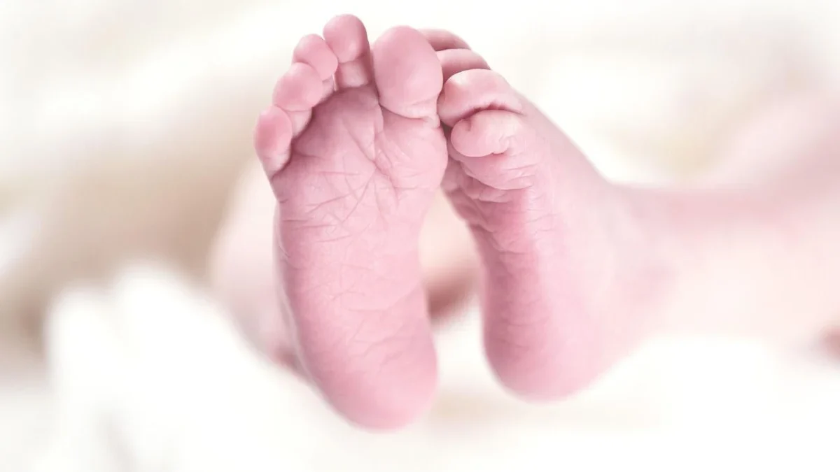 Ilustrasi: bayi dibuang di halaman belakang rumah warga. Dok Pixabay