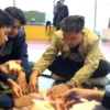 Digistar Class Intern merupakan wujud komitmen Telkom dalam membentuk insan muda Indonesia yang adaptif, inovatif, dan sadar akan tantangan dunia digital, sekaligus memperkuat positioning Telkom sebagai perusahaan yang mendorong pengembangan SDM sebagai aset strategis bangsa.