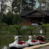 Berlibur dari Kepenatan Bekerja, eMTe Highland Resort Tawarkan Wisata Alam Modern