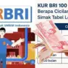 Pinjaman KUR BRI 2025