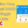 Cara Baru Pinjam Uang di DANA Tanpa KTP, Tanpa Bunga, dan Langsung Cair hingga Rp2 Juta